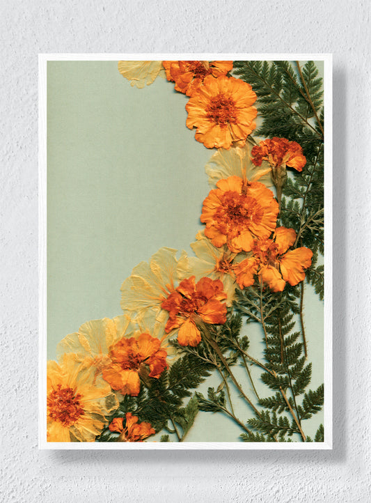 MARIGOLDS IN THE MARGIN - White Frame