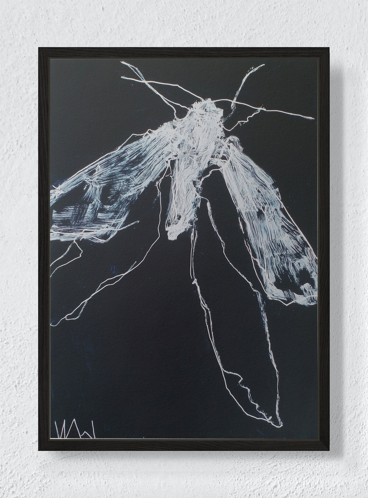 NIGHT FLIGHT - Black frame canvas