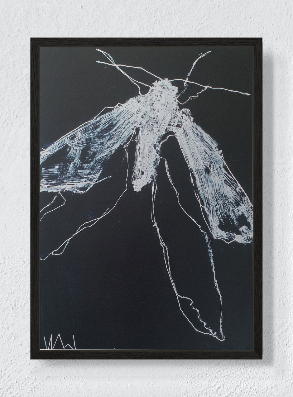 NIGHT FLIGHT - Black frame canvas