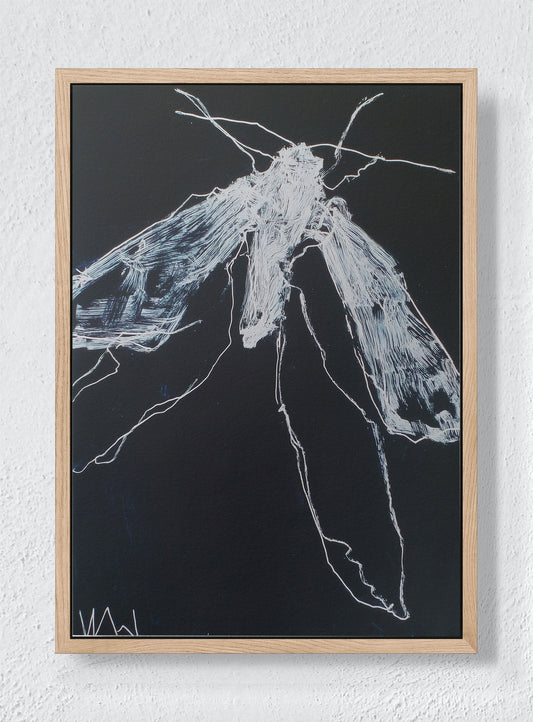 NIGHT FLIGHT - Natural frame canvas