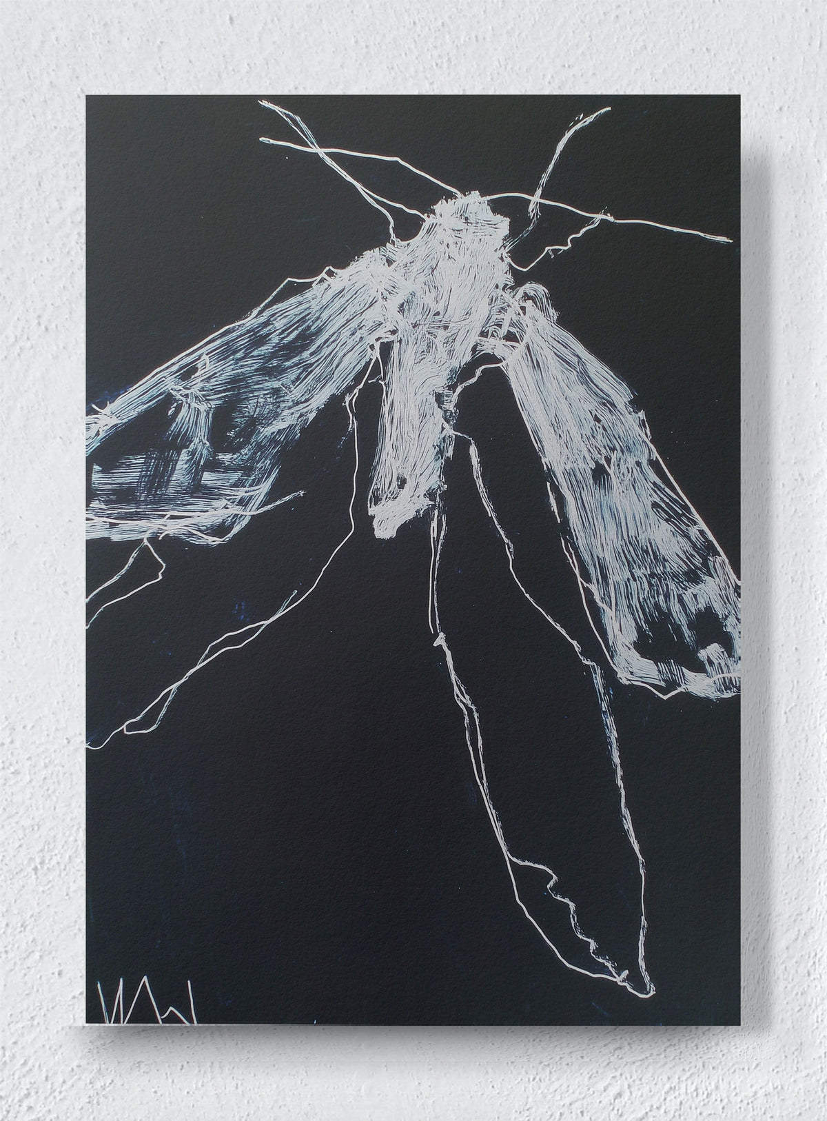 NIGHT FLIGHT - Unframed canvas