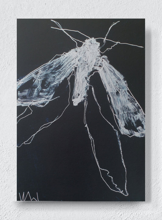 NIGHT FLIGHT - Unframed canvas
