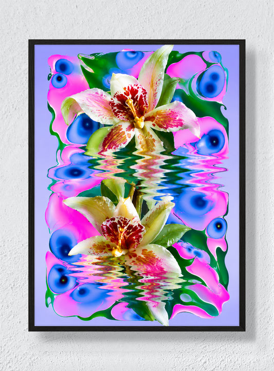 ORCHIDS IN A SYNTHETIC POND - Black Frame