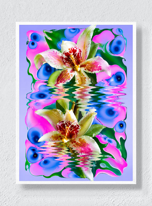 ORCHIDS IN A SYNTHETIC POND - White Frame