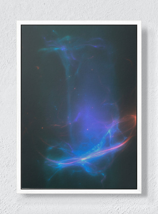 PANGLOSSIAN - White frame canvas