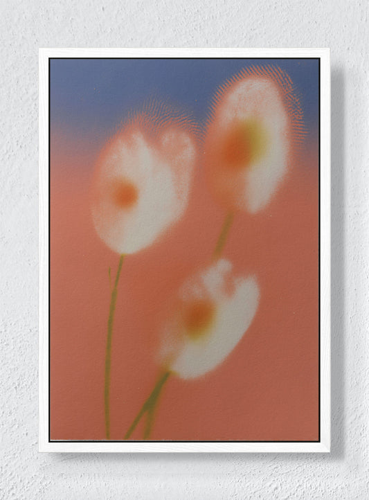 PEACH HAZE - White frame canvas