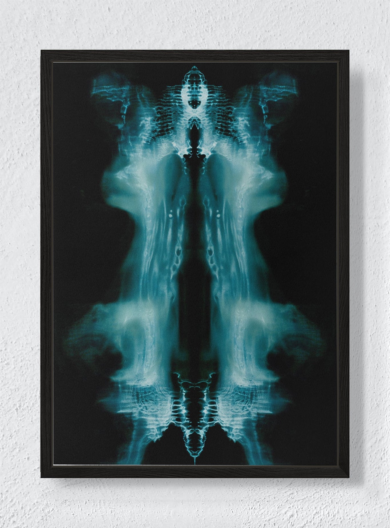 PHANTOM'S MIRROR - Black frame canvas