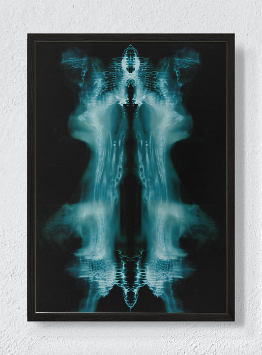 PHANTOM'S MIRROR - Black frame canvas