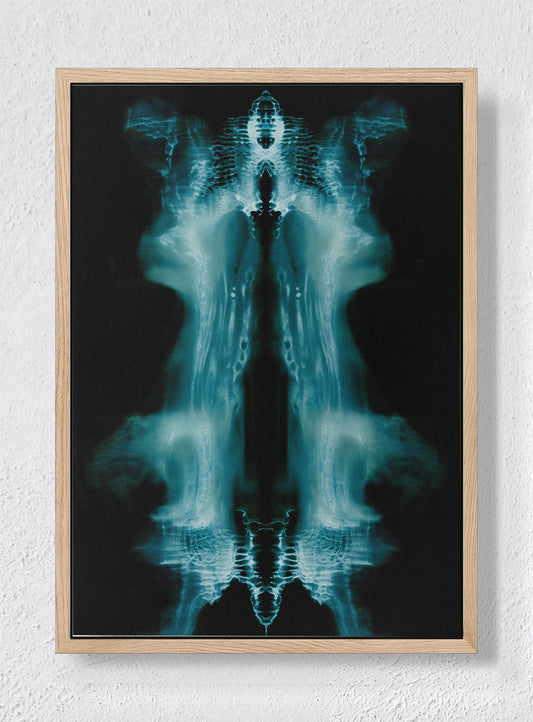 PHANTOM'S MIRROR - Natural frame canvas