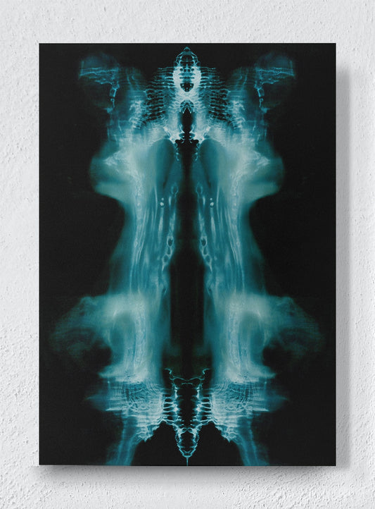 PHANTOM'S MIRROR - Unframed canvas
