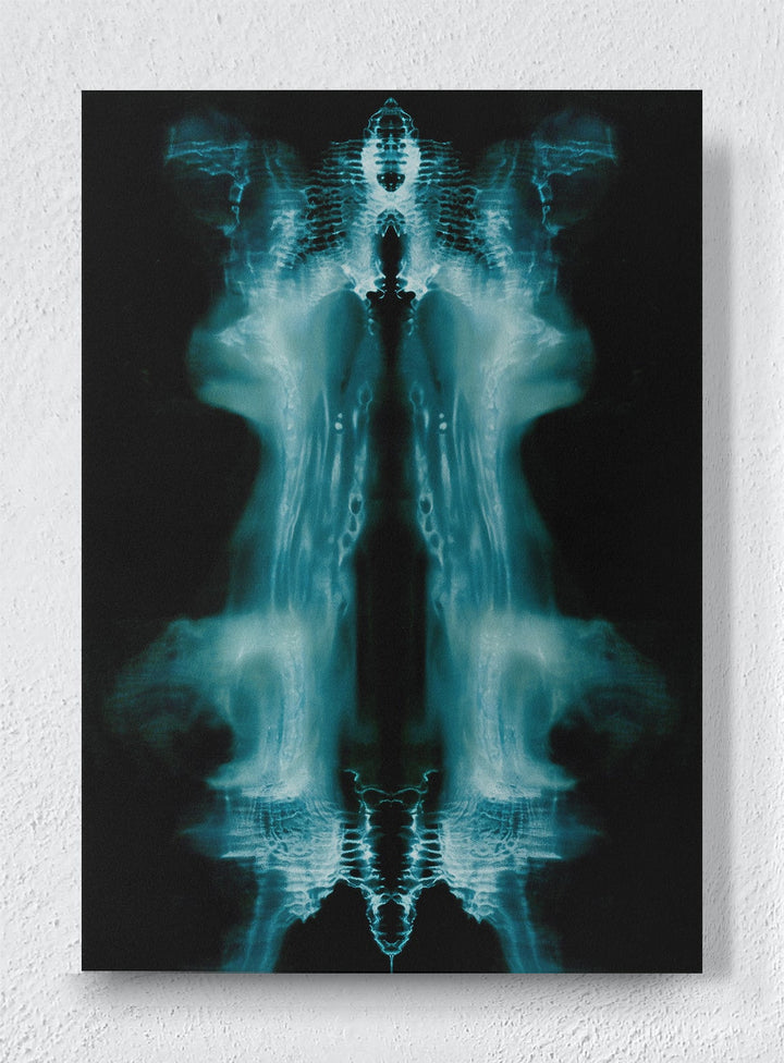 PHANTOM'S MIRROR - Unframed canvas