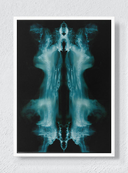 PHANTOM'S MIRROR - White frame canvas