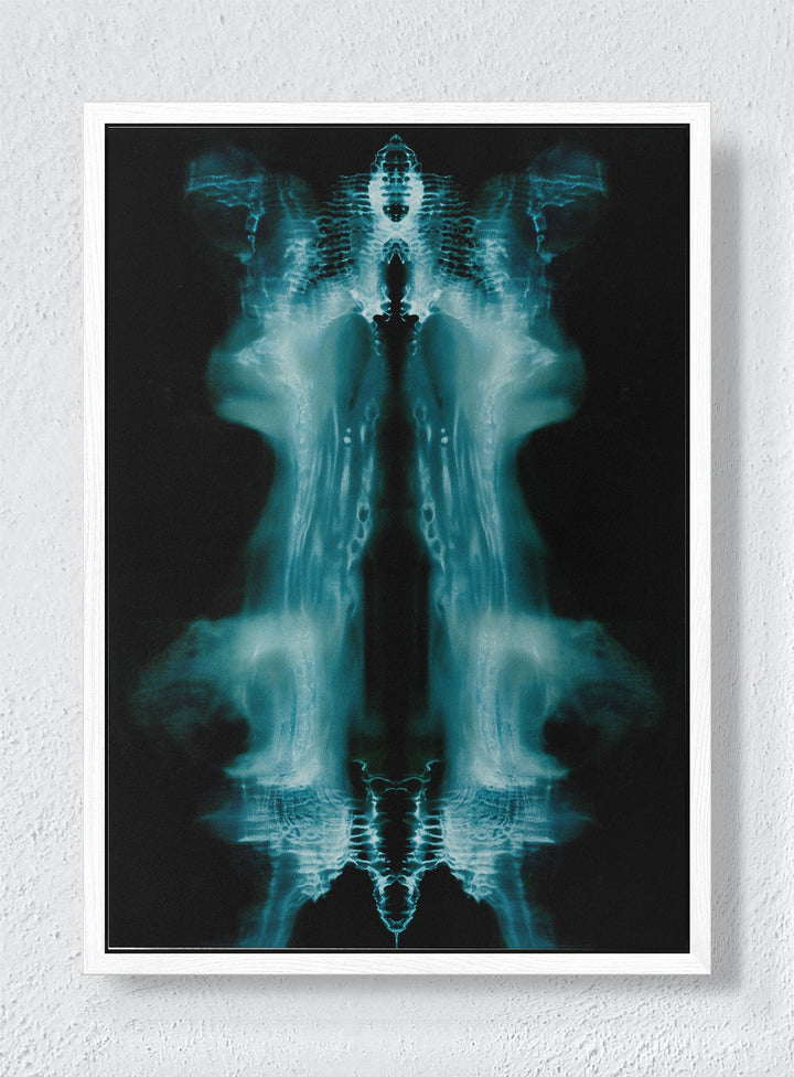 PHANTOM'S MIRROR - White frame canvas