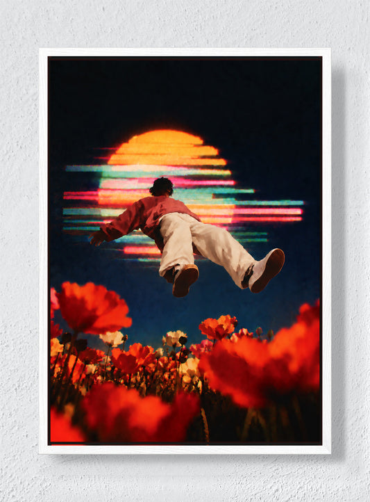 THE PERSON WHO MISSED GRAVITY - White frame canvas