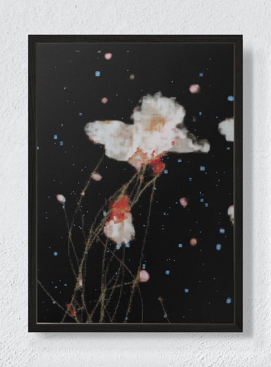 THE NIGHT GARDEN TRANSMISSION - Black frame canvas