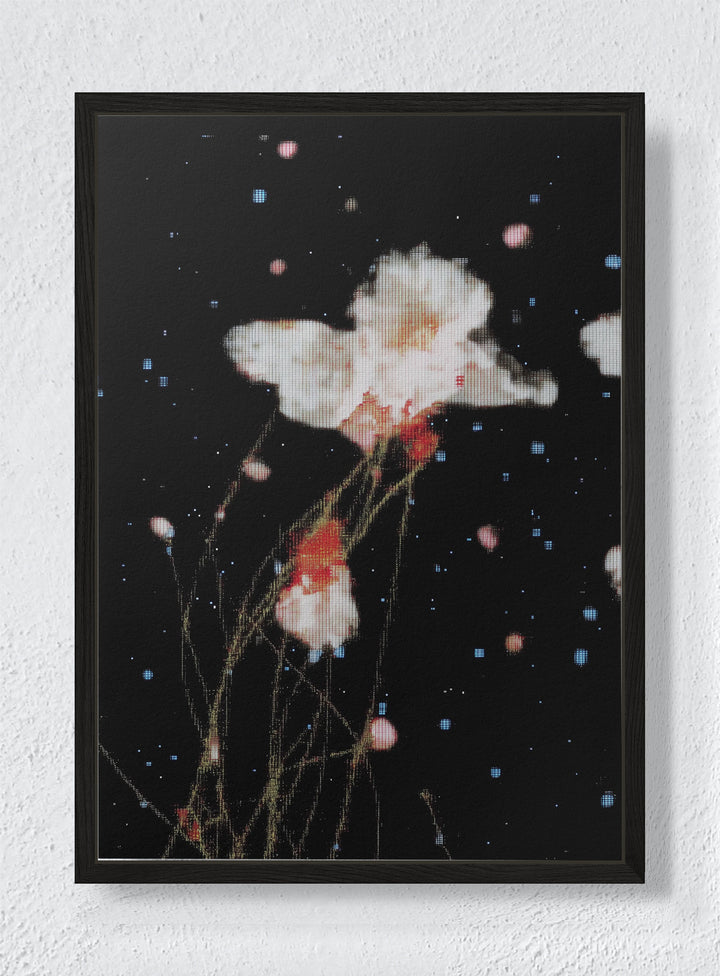 THE NIGHT GARDEN TRANSMISSION - Black frame canvas