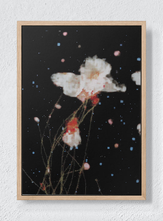 THE NIGHT GARDEN TRANSMISSION - Natural frame canvas