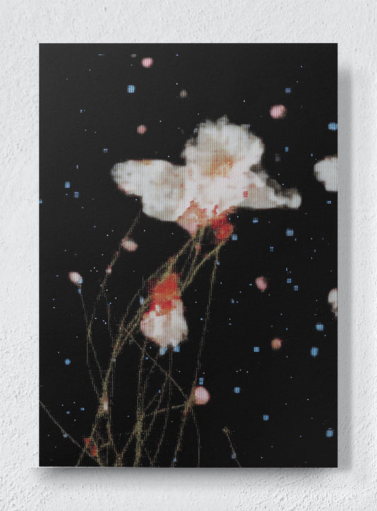 THE NIGHT GARDEN TRANSMISSION - Unframed canvas