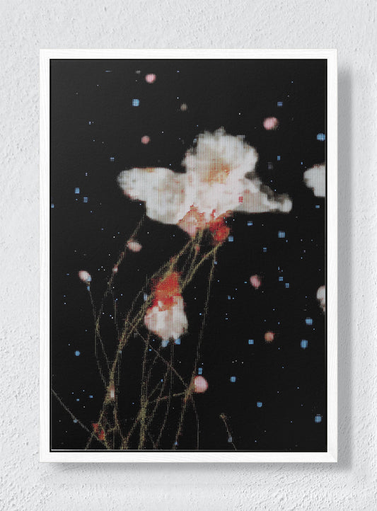 THE NIGHT GARDEN TRANSMISSION - White frame canvas
