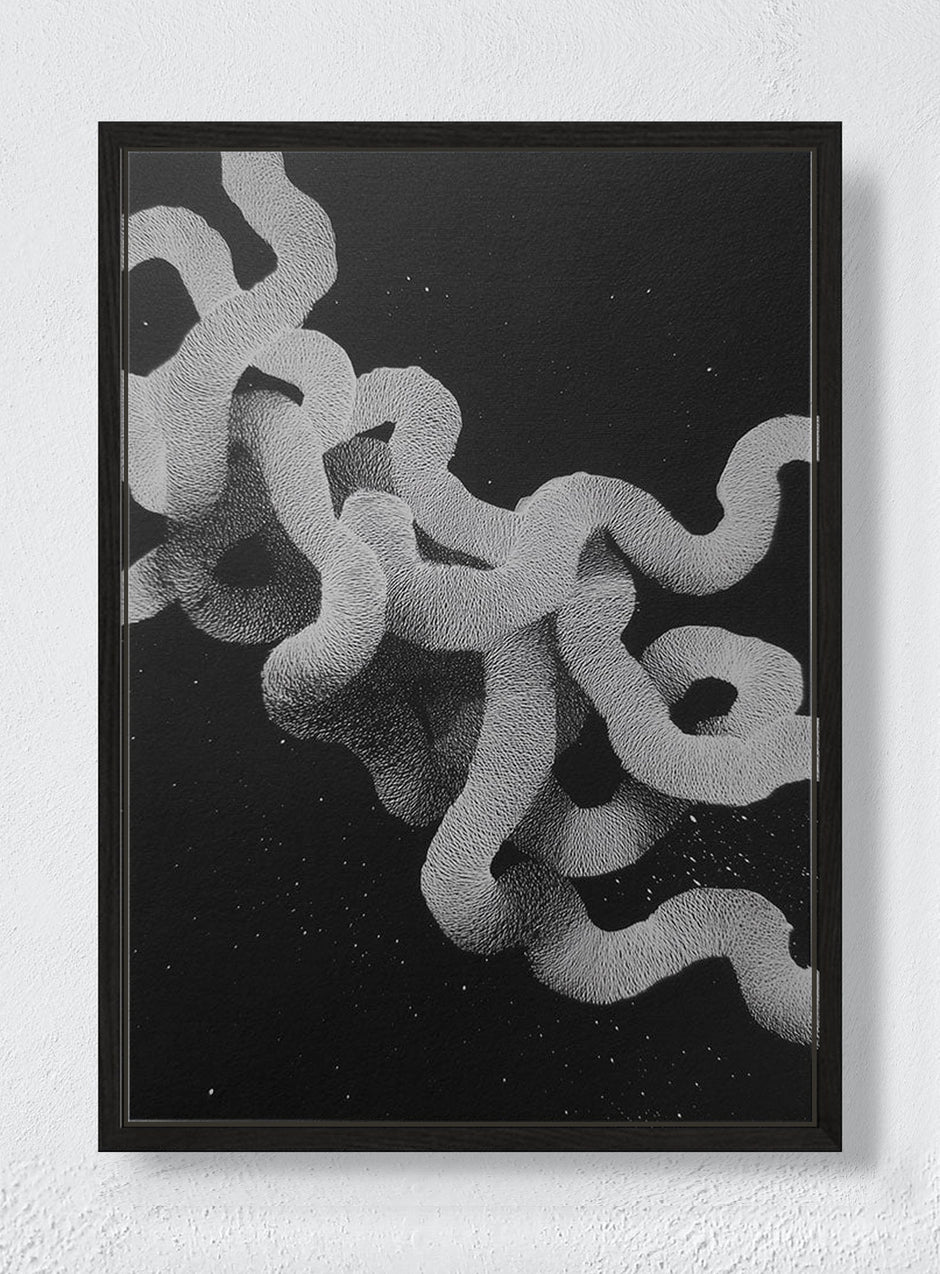 WHITE NOISE GIVEN FORM - Black frame canvas