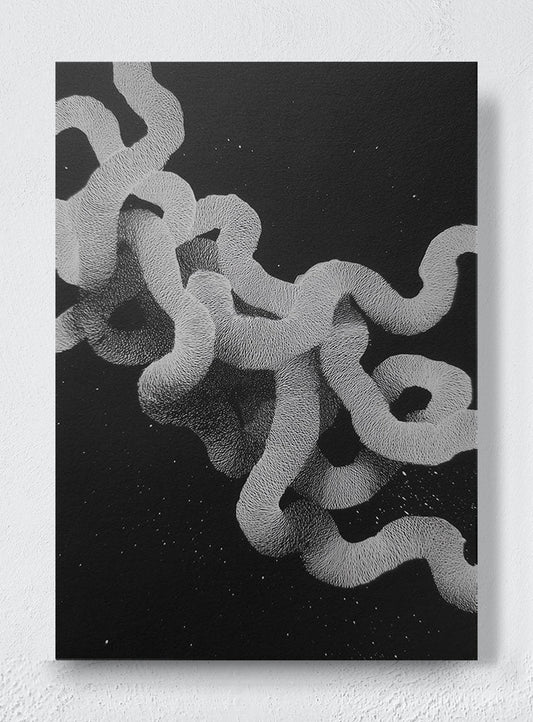 WHITE NOISE GIVEN FORM - Unframed canvas
