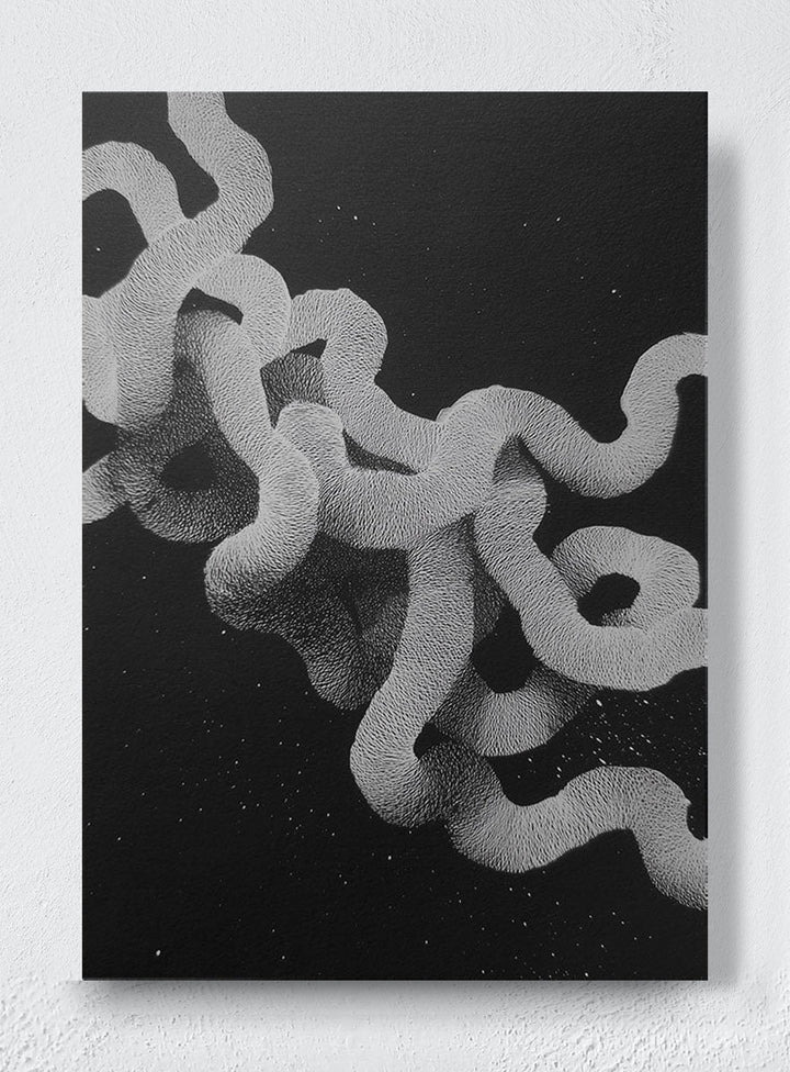 WHITE NOISE GIVEN FORM - Unframed canvas