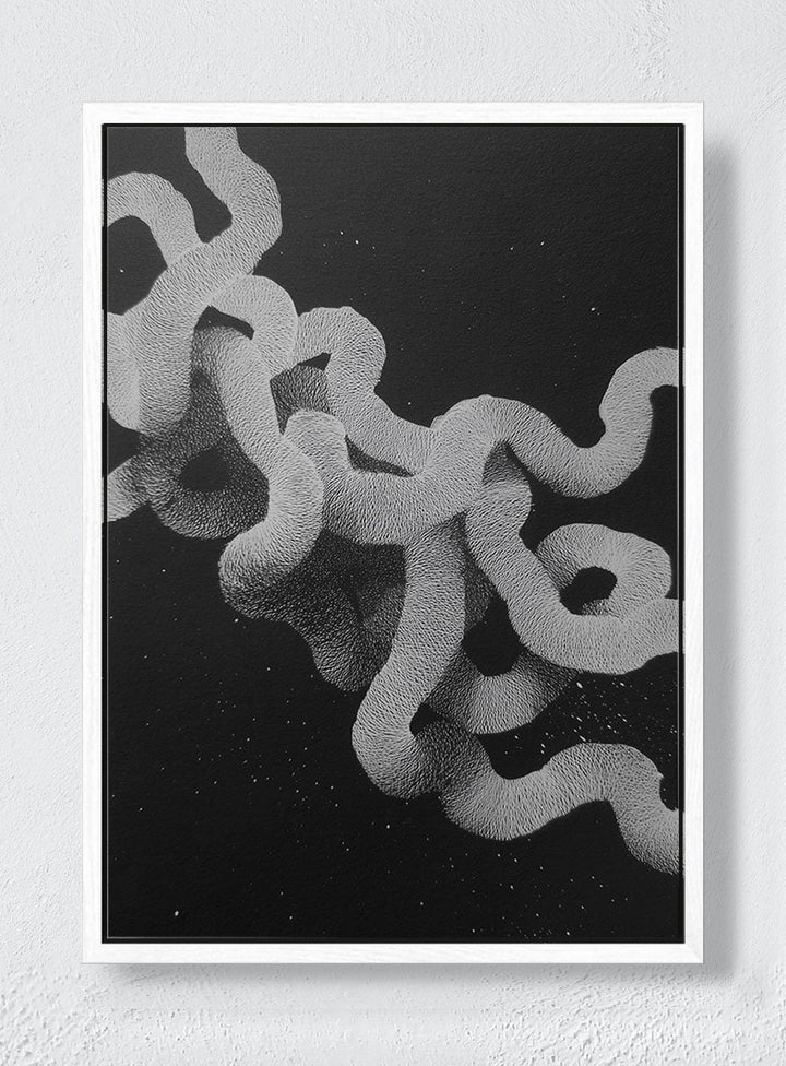 WHITE NOISE GIVEN FORM - White frame canvas