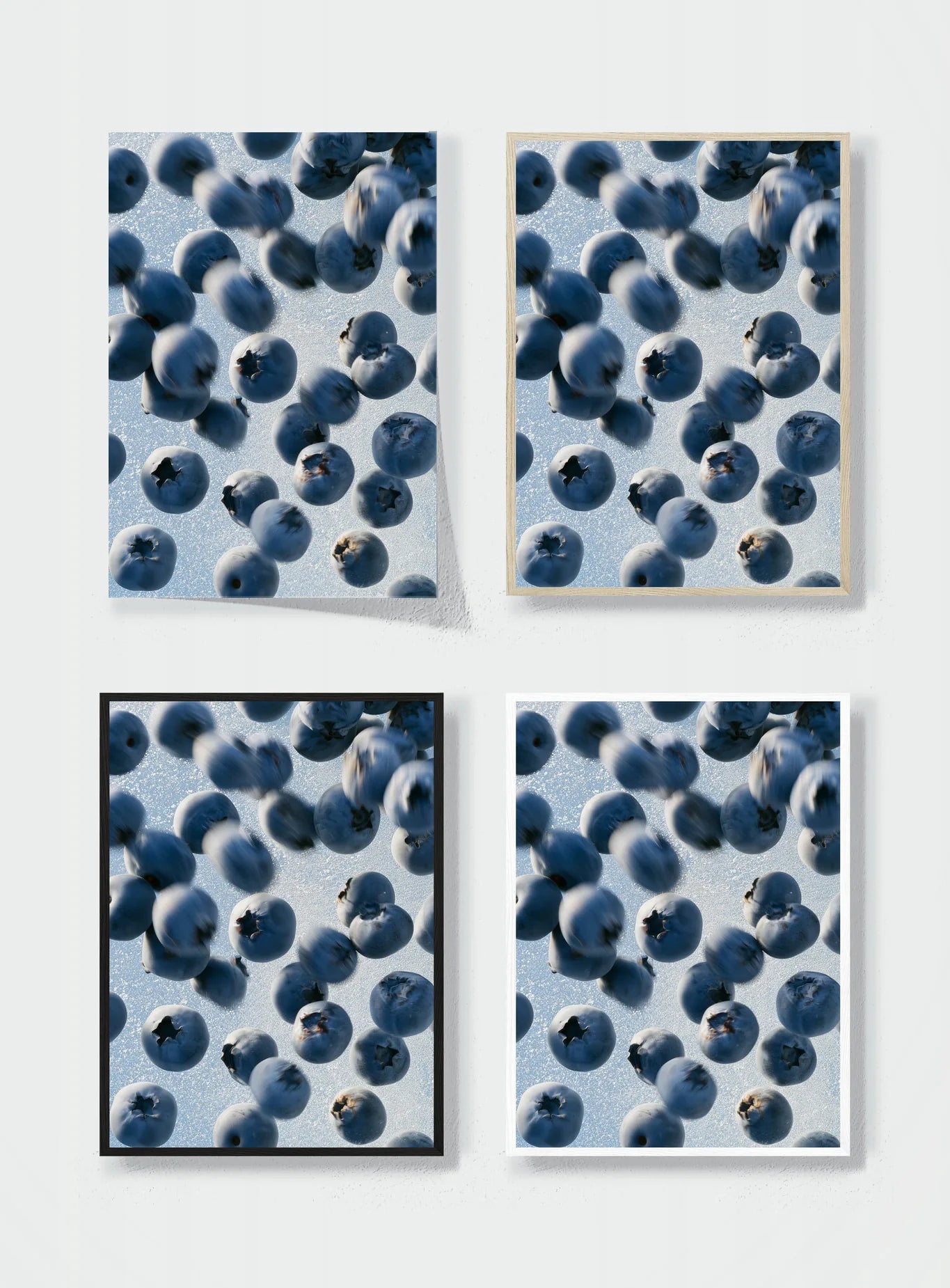 BLUEBERRIES IN FLIGHT frame options comparison