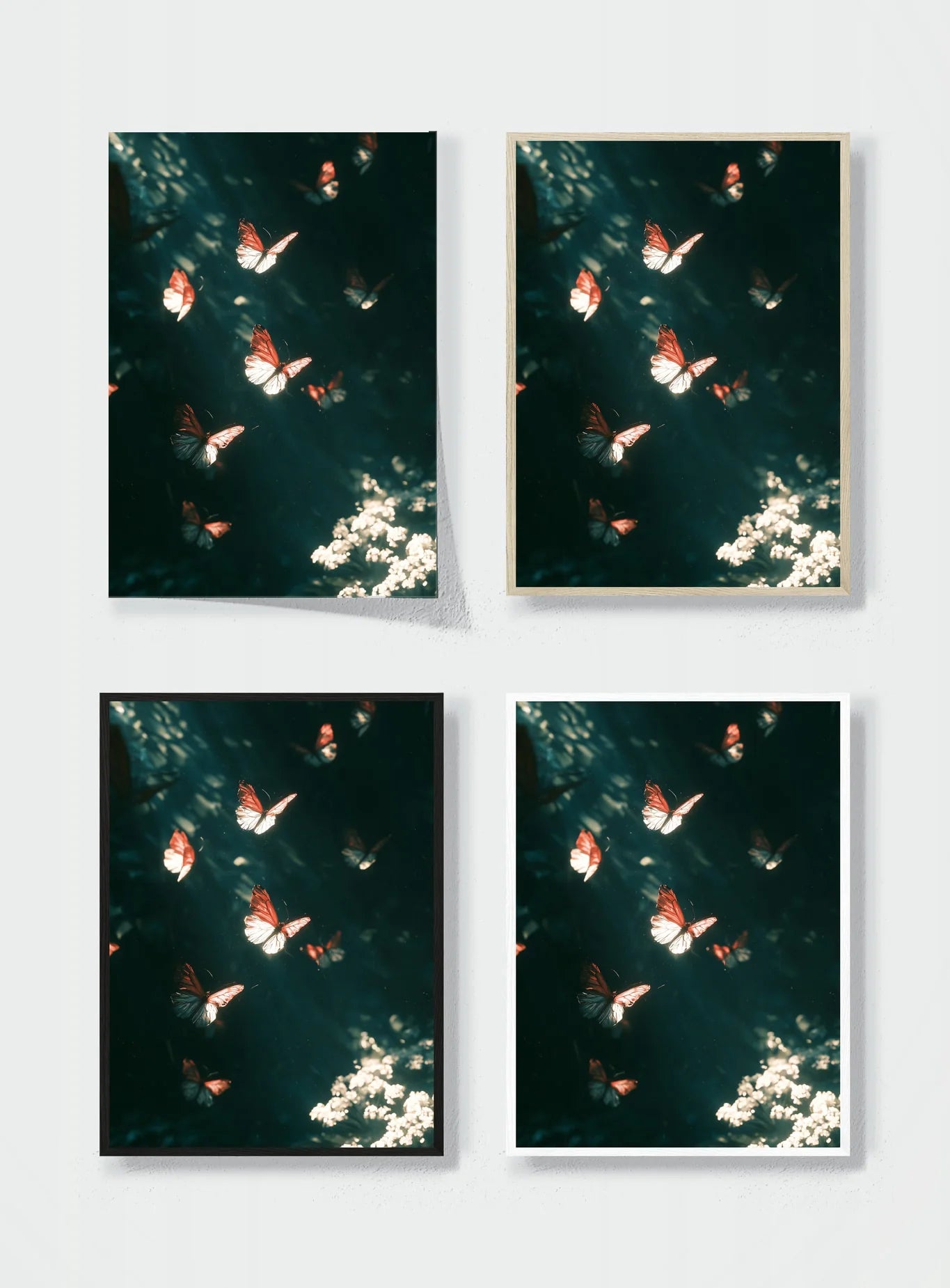 BUTTERFLIES AFTER DARK frame options comparison