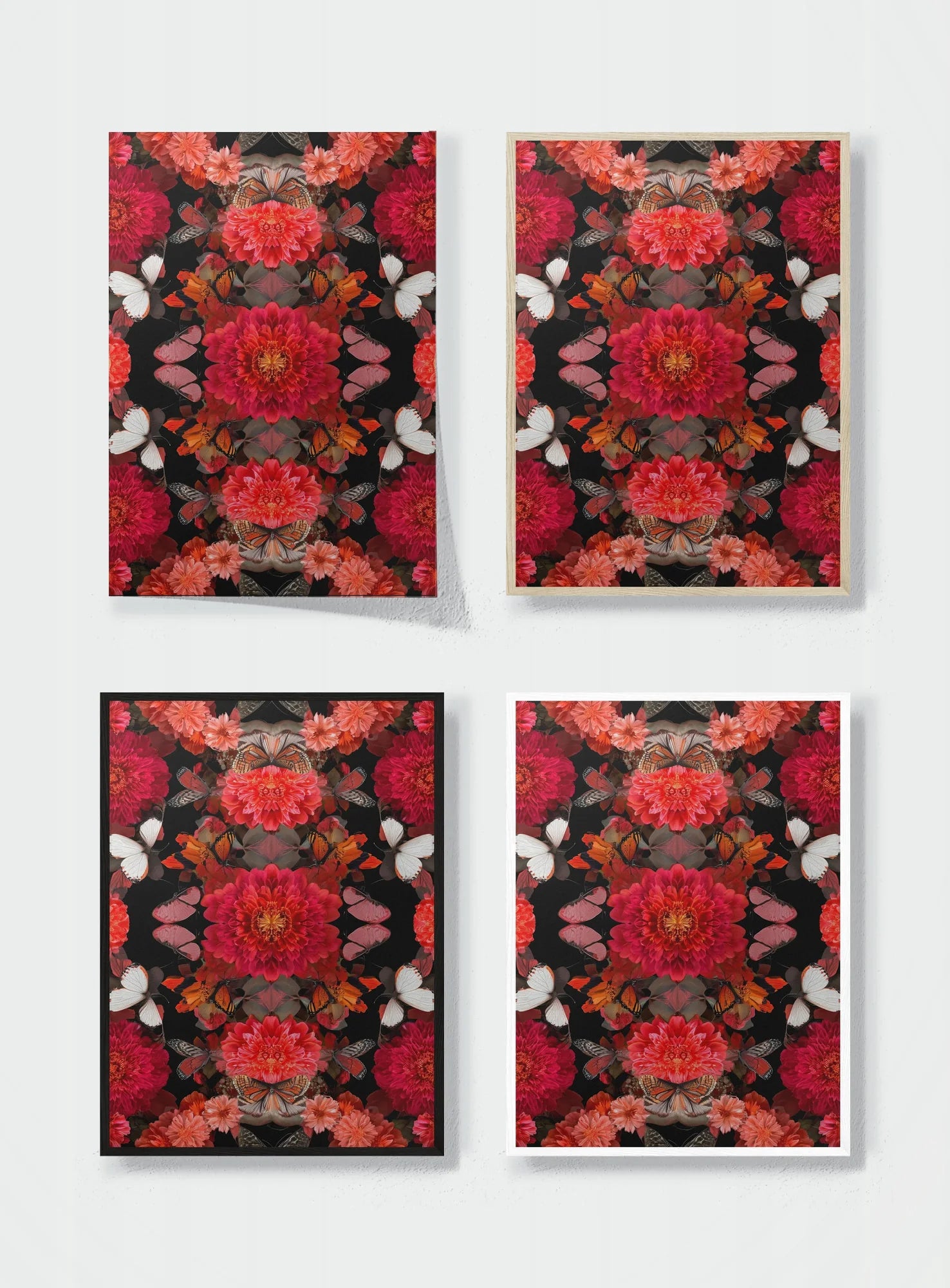 BUTTERFLY CATHEDRAL frame options comparison