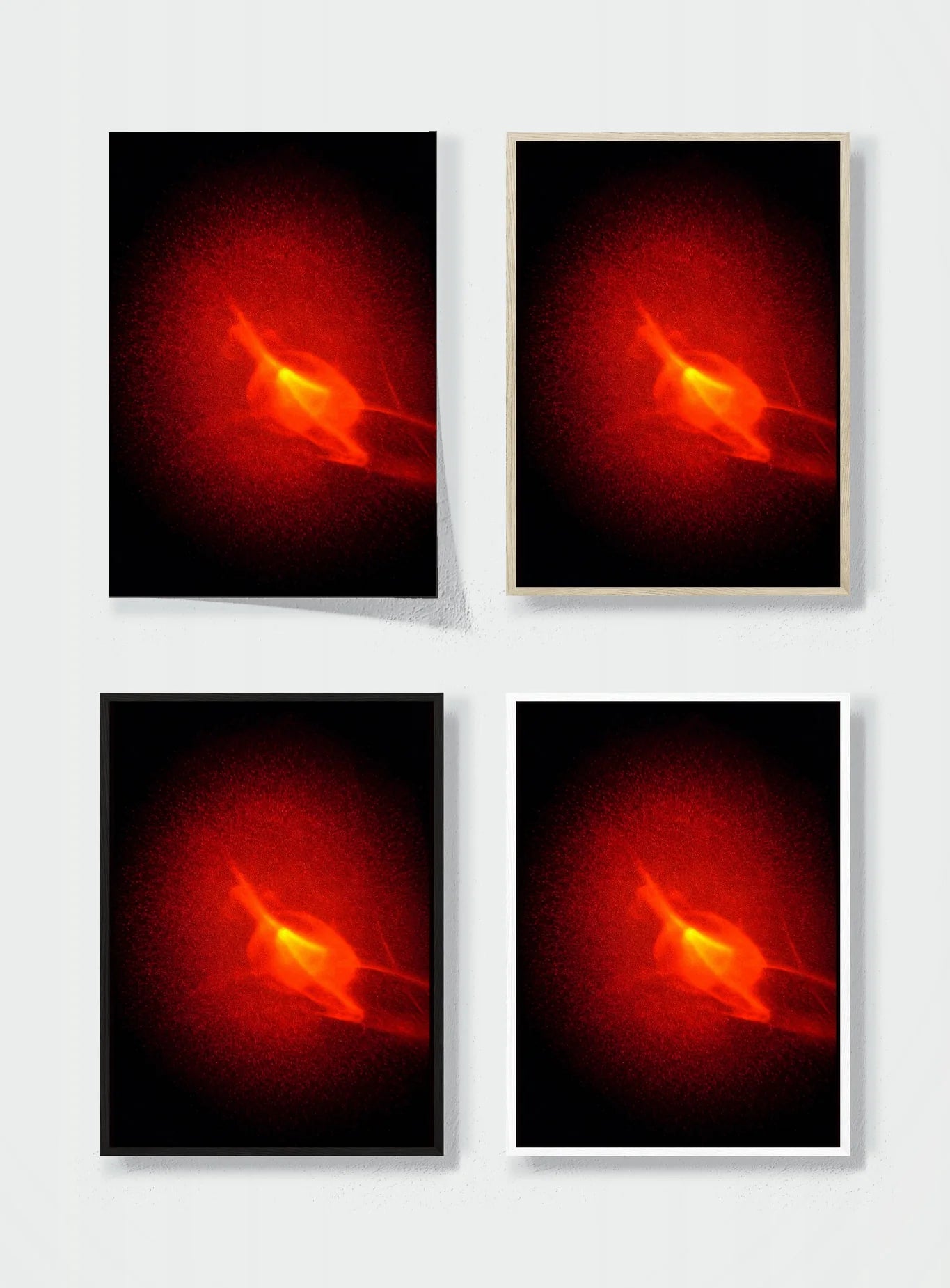 EMBER BLOOM frame options comparison
