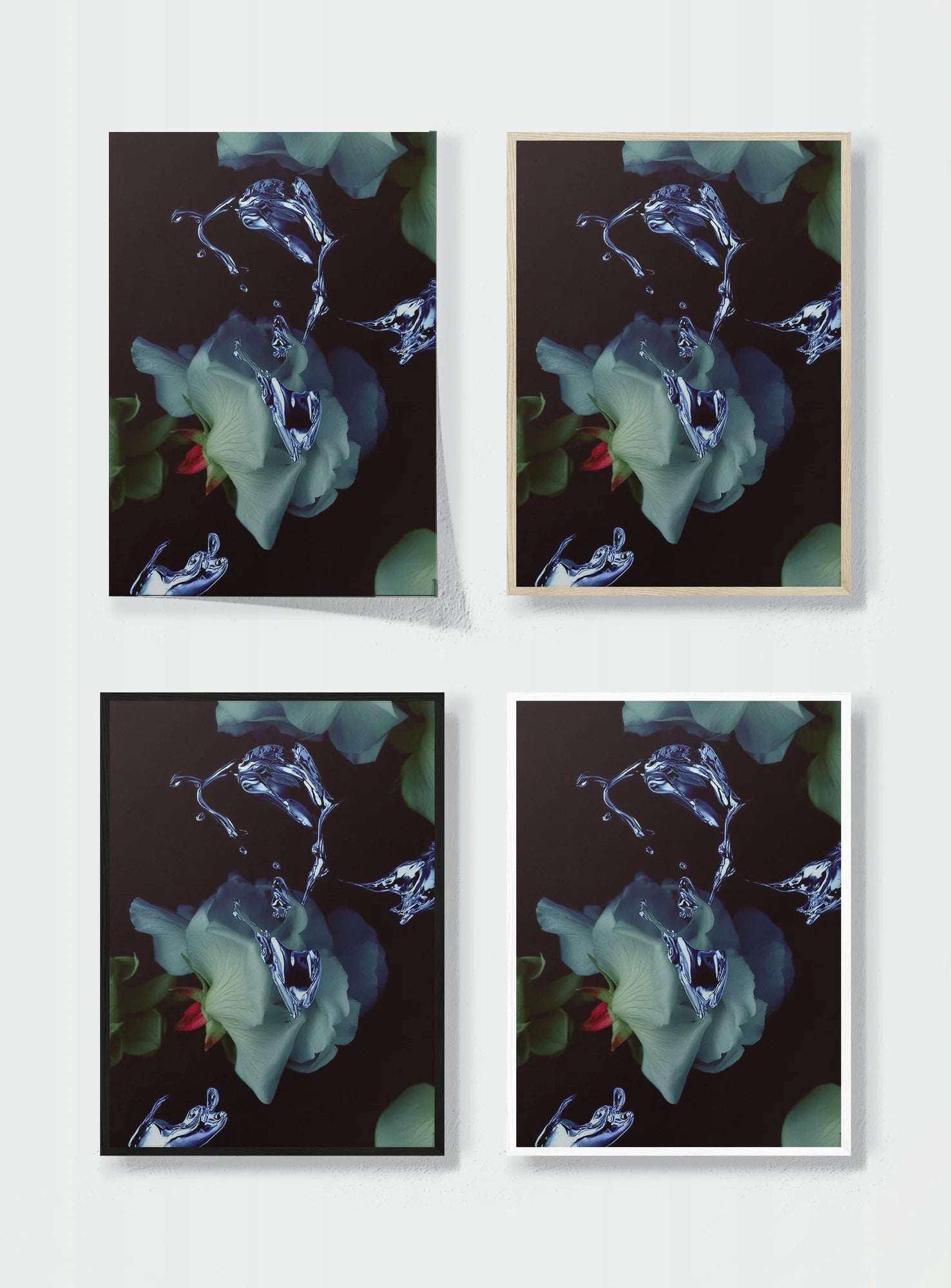 FLUID BOTANICA frame options comparison