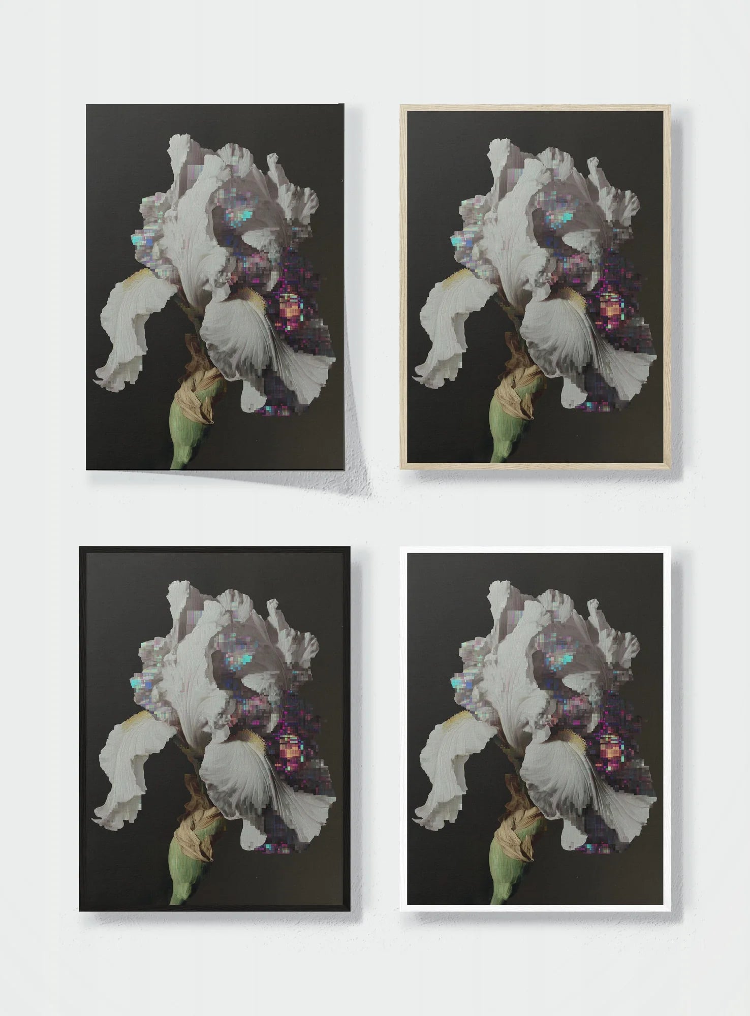 GLITCH IN THE GARDEN frame options comparison