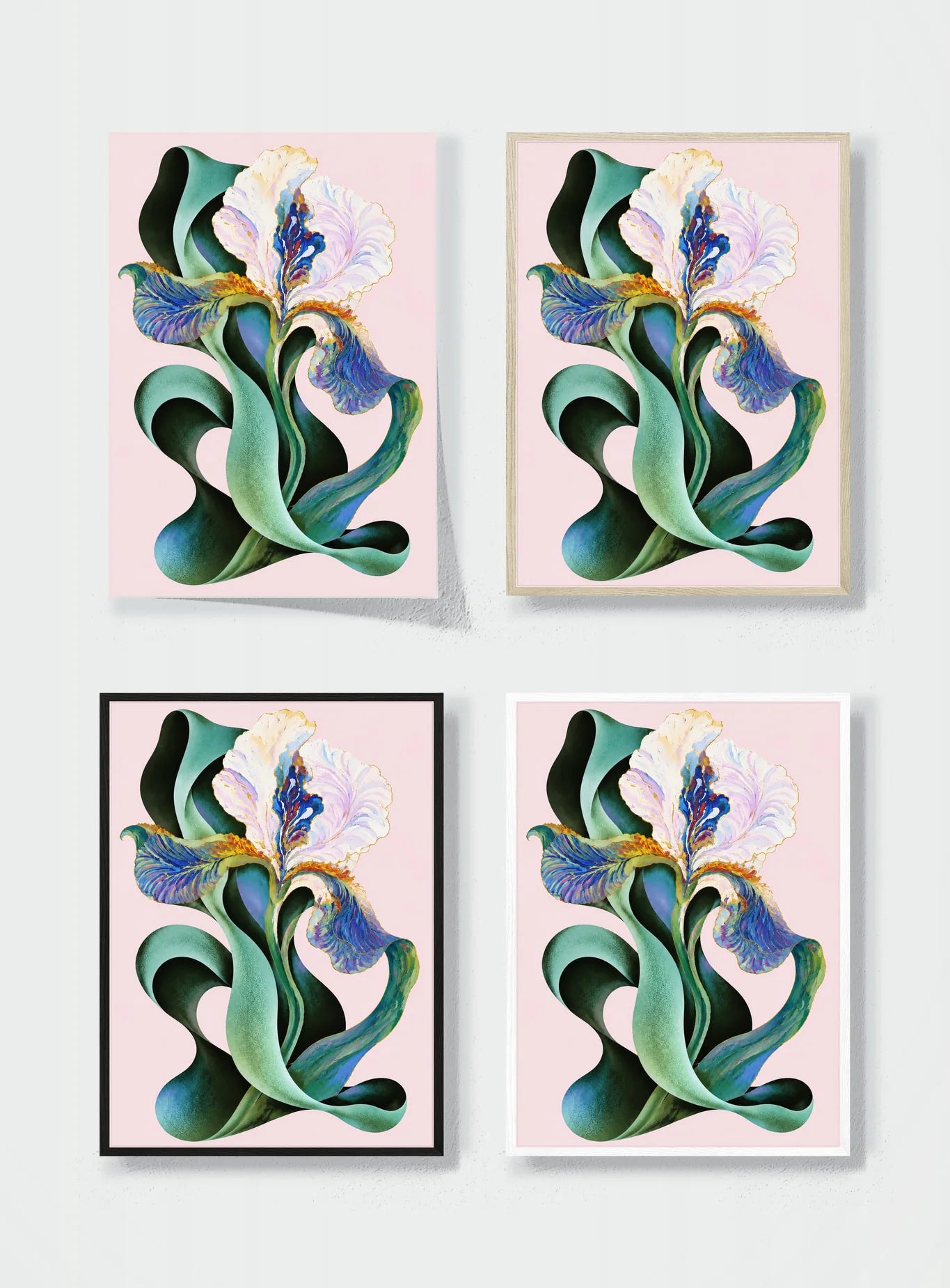 IRIS IN SHADOW frame options comparison