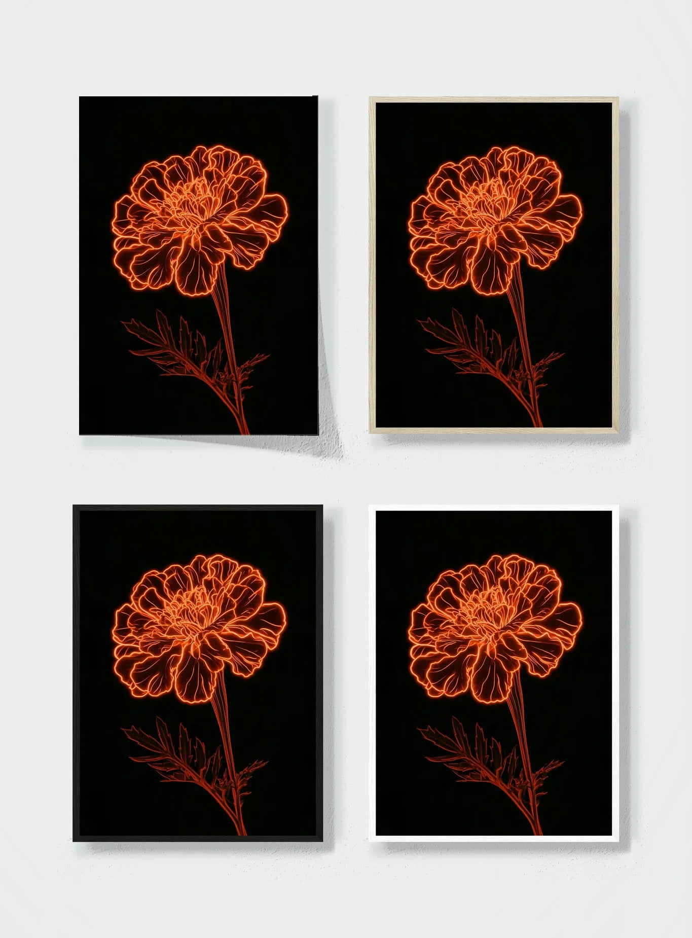 MARIGOLD AFTER MIDNIGHT frame options comparison
