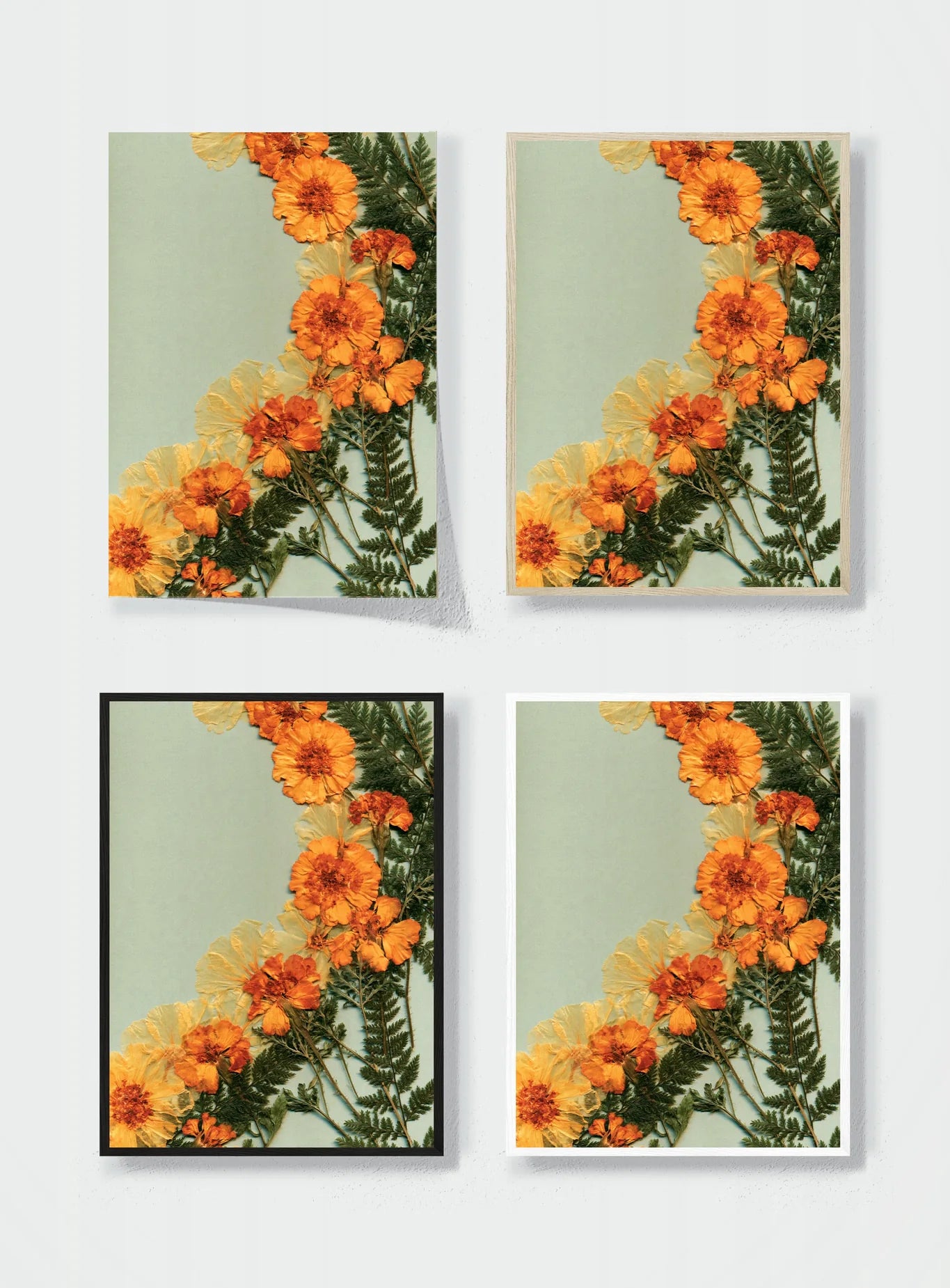 MARIGOLDS IN THE MARGIN frame options comparison