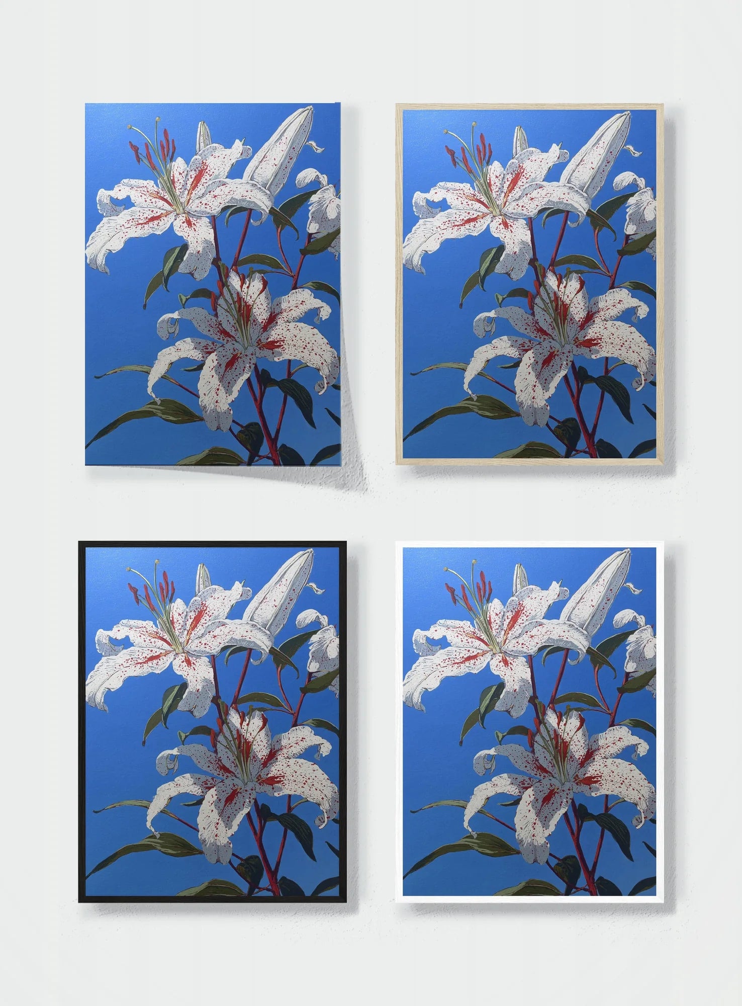 STARGAZERS IN THE SUN frame options comparison